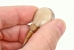 Earphone used with the modified Maico Model R