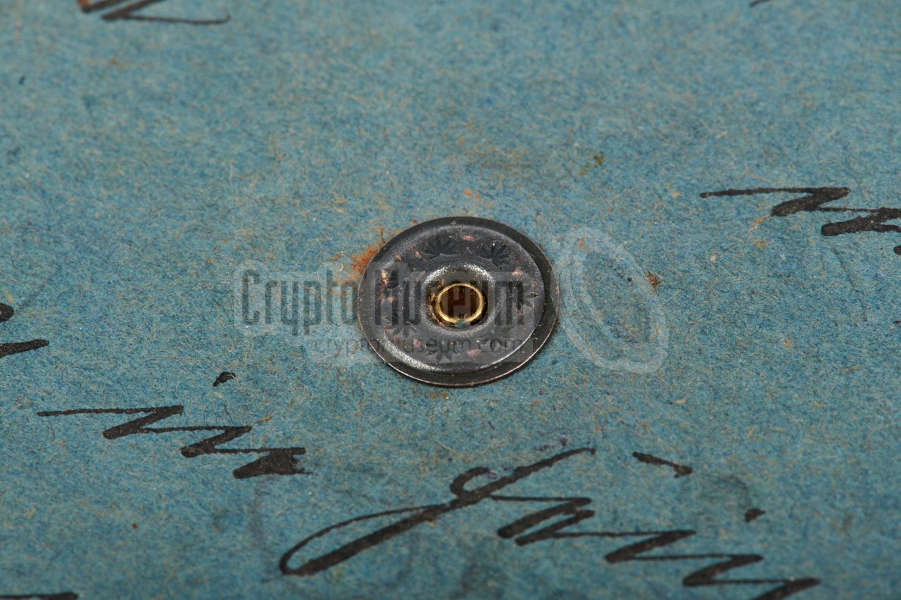 Pivoting point seen from the rear of the disc