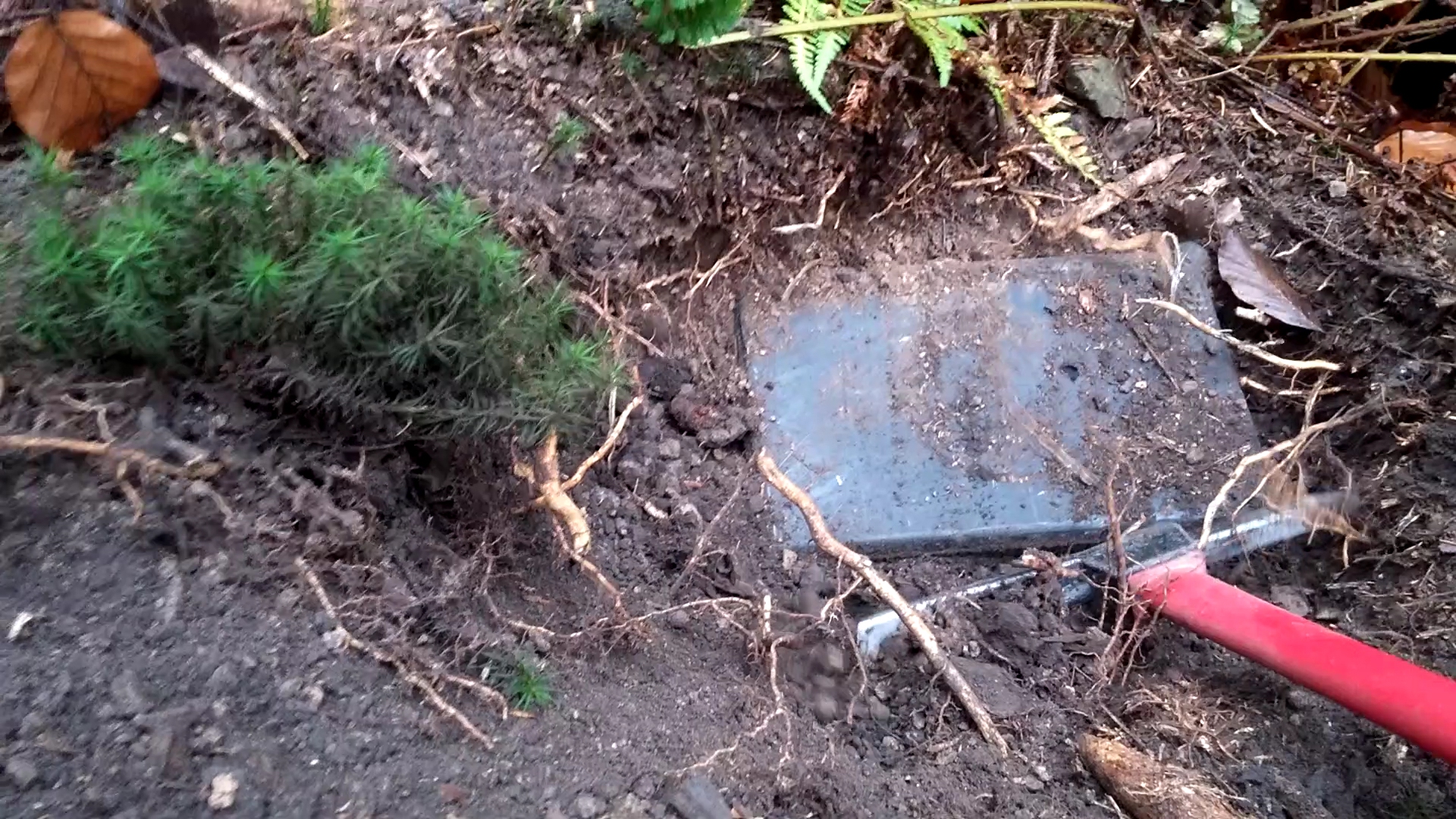 The forgotten cache as found in a West-European country in 2018