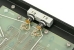 Two transistors mounted to the chassis